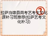 拉萨当雄县高考艺考生文化课补习班推荐(拉萨艺考文化补习)