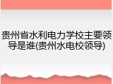 贵州省水利电力学校主要领导是谁(贵州水电校领导)