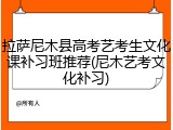 拉萨尼木县高考艺考生文化课补习班推荐(尼木艺考文化补习)