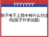 孩子考不上高中有什么办法吗(孩子升学出路)