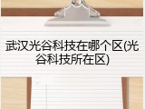 武汉光谷科技在哪个区(光谷科技所在区)