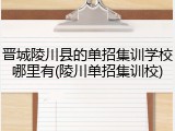晋城陵川县的单招集训学校哪里有(陵川单招集训校)