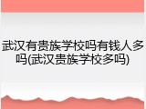 武汉有贵族学校吗有钱人多吗(武汉贵族学校多吗)