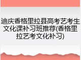 迪庆香格里拉县高考艺考生文化课补习班推荐(香格里拉艺考文化补习)