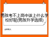 男孩考不上高中该上什么学校好呢(男孩升学选择)