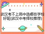 武汉考不上高中选哪些学校好呢(武汉中考择校推荐)