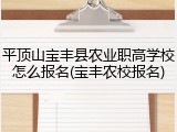 平顶山宝丰县农业职高学校怎么报名(宝丰农校报名)