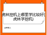虎林挖机上哪里学比较好(虎林学挖机)