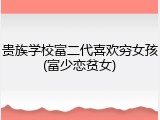 贵族学校富二代喜欢穷女孩(富少恋贫女)