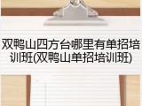 双鸭山四方台哪里有单招培训班(双鸭山单招培训班)