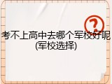考不上高中去哪个军校好呢(军校选择)