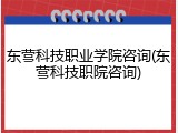 东营科技职业学院咨询(东营科技职院咨询)
