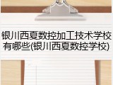 银川西夏数控加工技术学校有哪些(银川西夏数控学校)