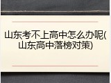 山东考不上高中怎么办呢(山东高中落榜对策)