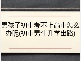 男孩子初中考不上高中怎么办呢(初中男生升学出路)