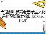 大理剑川县高考艺考生文化课补习班推荐(剑川艺考文化班)