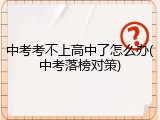 中考考不上高中了怎么办(中考落榜对策)