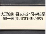 大理剑川县文化补习学校是哪一家(剑川文化补习校)