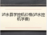 泸水县学挖机价格(泸水挖机学费)