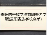 贵阳的贵族学校有哪些名字呢(贵阳贵族学校名单)
