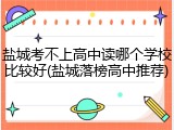 盐城考不上高中读哪个学校比较好(盐城落榜高中推荐)