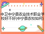 中卫中宁县农业技术职业学校好不好(中宁县农校如何)