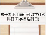 孩子考不上高中可以学什么科目(升学备选科目)