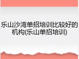 乐山沙湾单招培训比较好的机构(乐山单招培训)