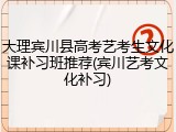 大理宾川县高考艺考生文化课补习班推荐(宾川艺考文化补习)