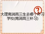 大理南涧高三生去哪个补习学校(南涧高三补习)