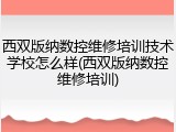 西双版纳数控维修培训技术学校怎么样(西双版纳数控维修培训)