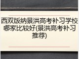 西双版纳景洪高考补习学校哪家比较好(景洪高考补习推荐)