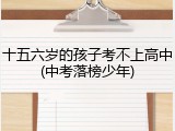 十五六岁的孩子考不上高中(中考落榜少年)
