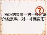 西双版纳景洪一对一补习班价格(景洪一对一补课费用)