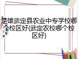 楚雄武定县农业中专学校哪个校区好(武定农校哪个校区好)