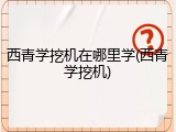 西青学挖机在哪里学(西青学挖机)
