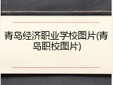 青岛经济职业学校图片(青岛职校图片)