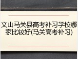 文山马关县高考补习学校哪家比较好(马关高考补习)