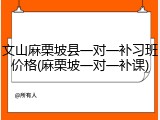文山麻栗坡县一对一补习班价格(麻栗坡一对一补课)