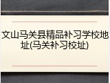 文山马关县精品补习学校地址(马关补习校址)