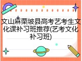 文山麻栗坡县高考艺考生文化课补习班推荐(艺考文化补习班)