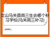 文山马关县高三生去哪个补习学校(马关高三补习)