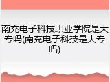 南充电子科技职业学院是大专吗(南充电子科技是大专吗)