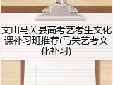 文山马关县高考艺考生文化课补习班推荐(马关艺考文化补习)