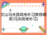 文山马关县高考补习推荐哪家(马关高考补习)