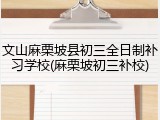文山麻栗坡县初三全日制补习学校(麻栗坡初三补校)