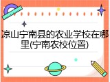 凉山宁南县的农业学校在哪里(宁南农校位置)