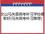 文山马关县高考补习学校哪家好(马关高考补习推荐)