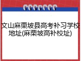 文山麻栗坡县高考补习学校地址(麻栗坡高补校址)