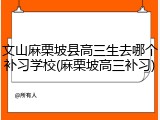 文山麻栗坡县高三生去哪个补习学校(麻栗坡高三补习)